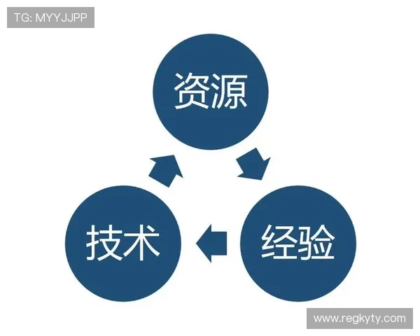 开云集团如何应对全球经济波动带来的挑战与机遇的战略调整 开云集团如何应对全球经济波动带来的挑战与机遇的战略调整