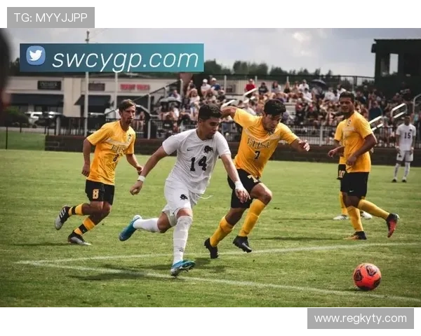 开云体育下载入口官方最新版，轻松畅享多平台体育赛事直播体验