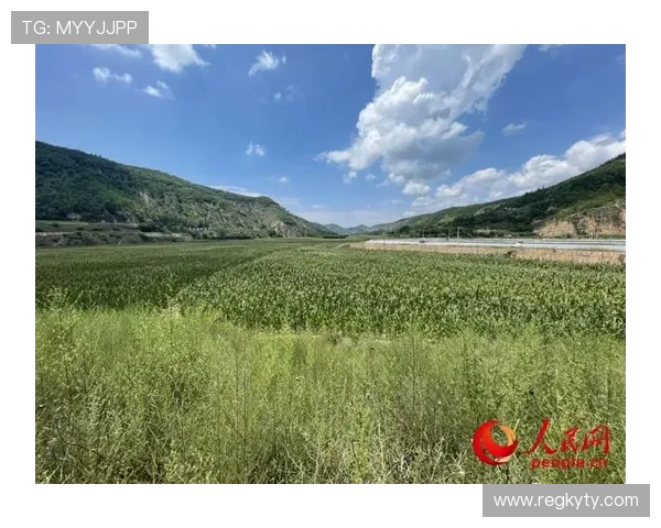 开云Kaiyun国际推动可持续发展战略，践行绿色环保理念的具体措施