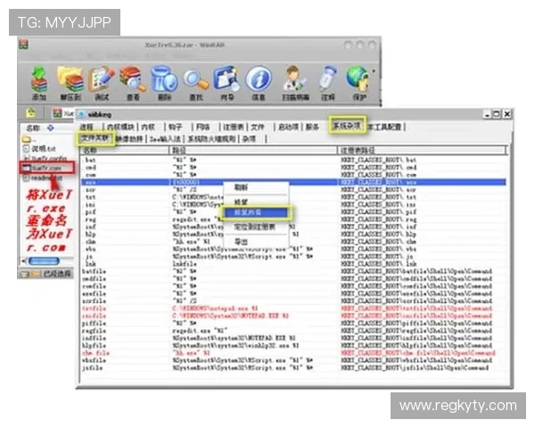 开云官方网站常见问题解答与客服联系方式全方位解决玩家疑问