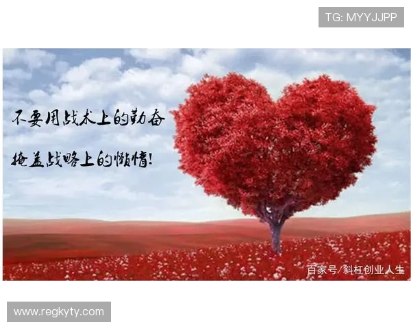 掌握开运平台入口使用技巧提升运势，开启属于你的幸运人生